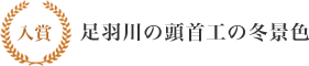 入賞 足羽川の頭首工の冬景色