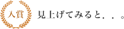 入賞 見上げてみると．．。