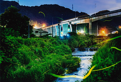 フォトコンテスト